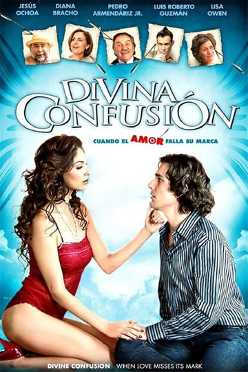 Divine Confusion Poster