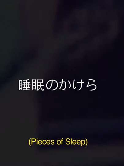 Pieces Of Sleep The 1993 Japan Tour ReImagined