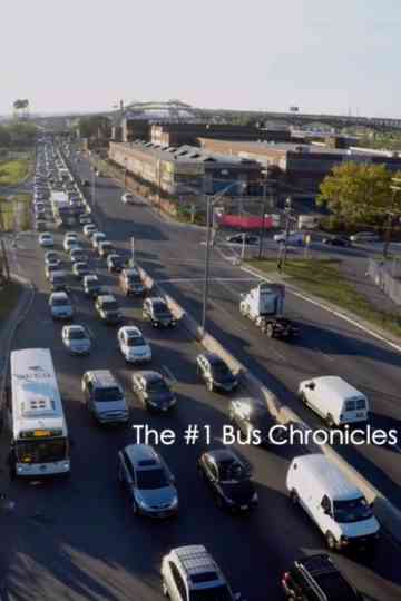 The 1 Bus Chronicles