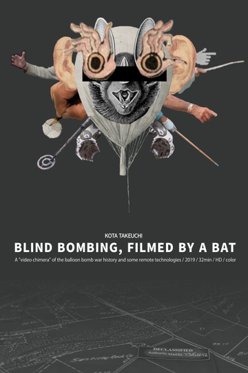 Blind Bombing Filmed by a Bat