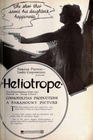 Heliotrope Poster