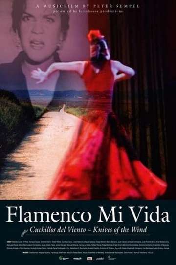 Flamenco mi vida  Knives of the wind