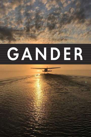 Gander International The Airport in the Middle of Nowhere Poster