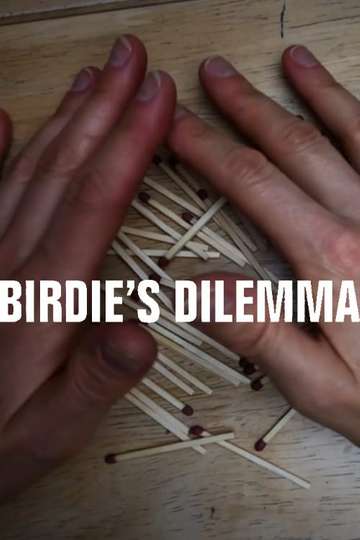 Birdies Dilemma Poster