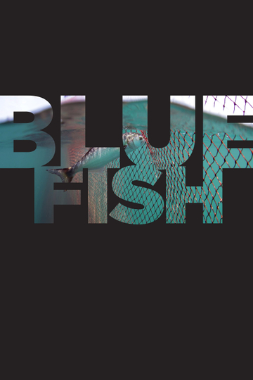 Bluefish Poster