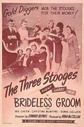 Brideless Groom poster