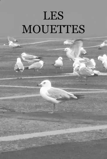 Les Mouettes