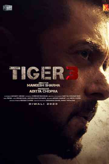 Tiger 3