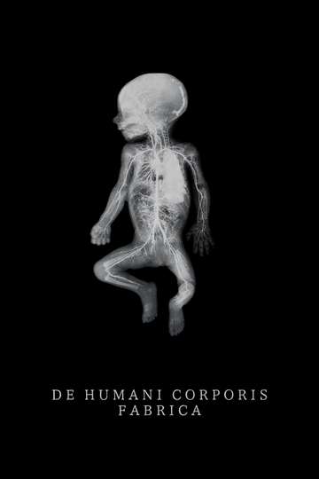 De Humani Corporis Fabrica Poster
