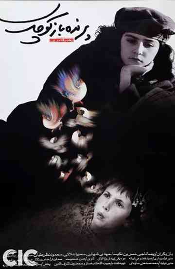 The Little Bird Boy Poster