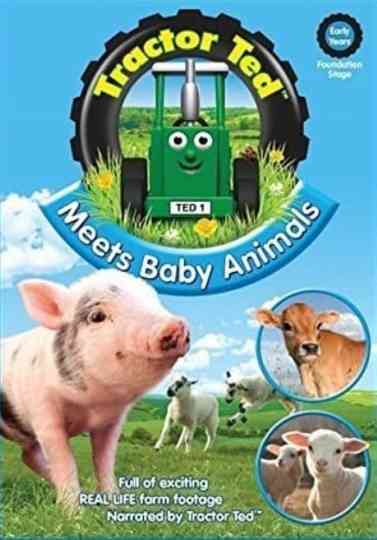 Tractor Ted Meets Baby Animals Poster