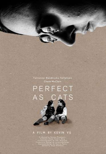 Perfect as Cats Poster
