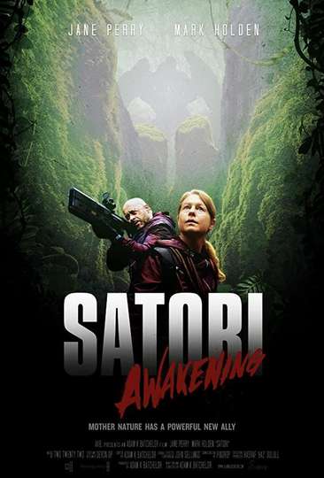 Satori Awakening Poster