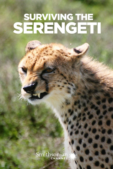 Surviving the Serengeti Poster