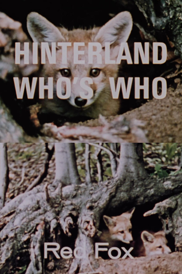 Hinterland Who's Who: Red Fox