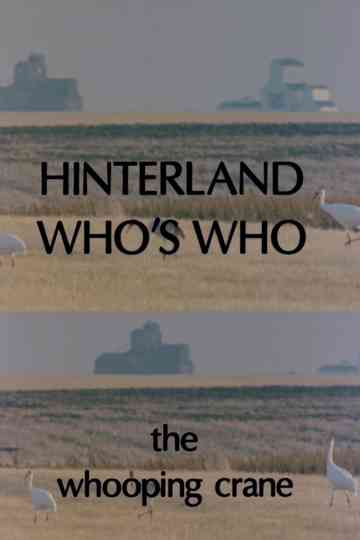 Hinterland Who's Who: Whooping Crane