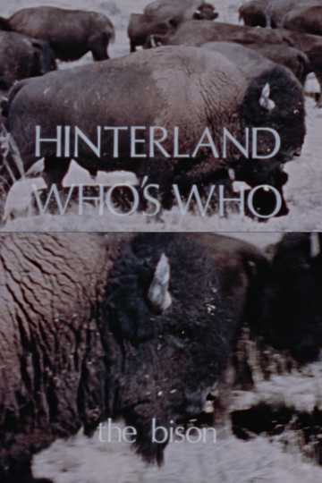 Hinterland Who's Who: The Bison