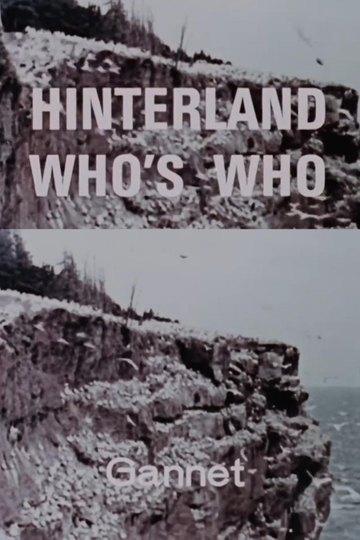 Hinterland Who's Who: Gannet