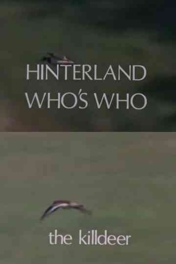 Hinterland Who's Who: Killdeer