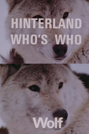 Hinterland Who's Who: Wolf