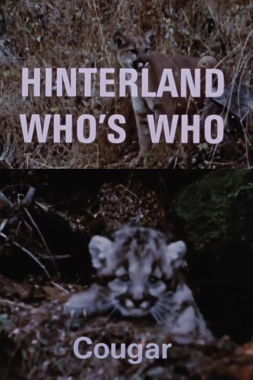 Hinterland Who's Who: Cougar