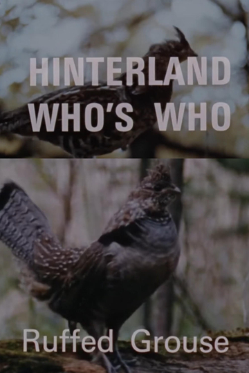 Hinterland Who's Who: Ruffed Grouse