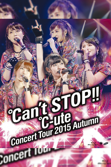 ute 2015 Autumn ant STOP