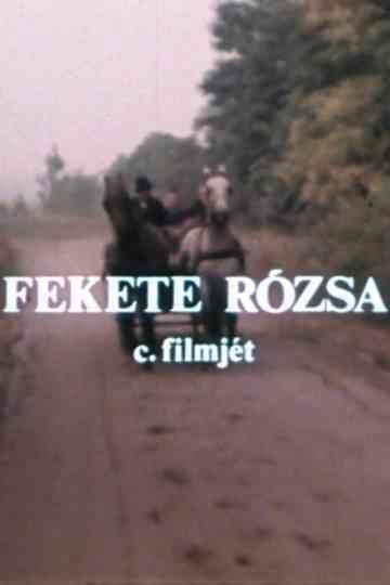 Fekete rózsa