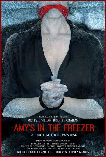Amy's in the Freezer Poster