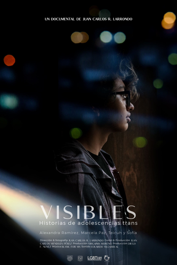 Visibles: Historias de Adolescencias Trans Poster