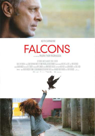 Falcons Poster