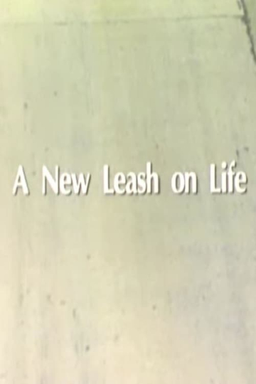 A New Leash On Life