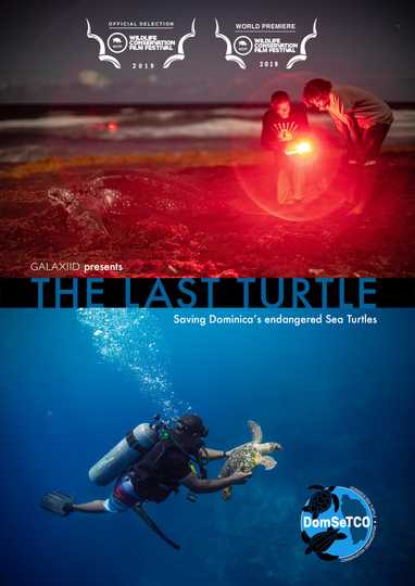 The Last Turtle