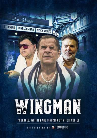 WingMan Poster