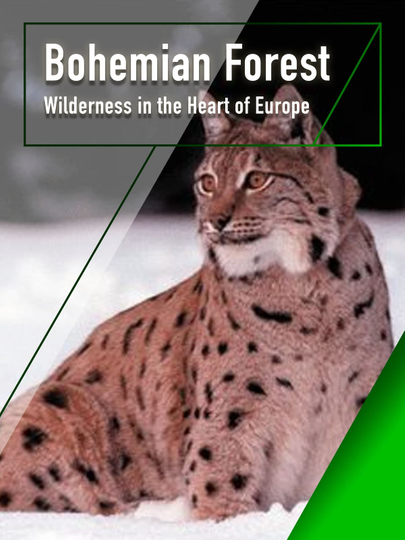 The Bohemian Forest - Wilderness in the Heart of Europe