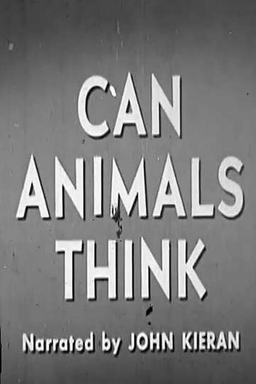 Can Animals Think Poster