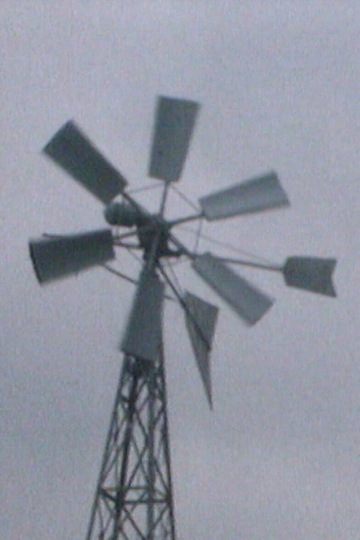 The Windmill