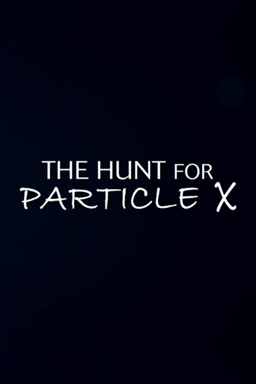 The Hunt for Particle X