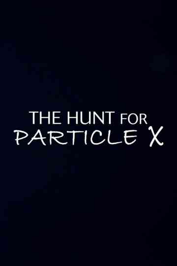 The Hunt for Particle X