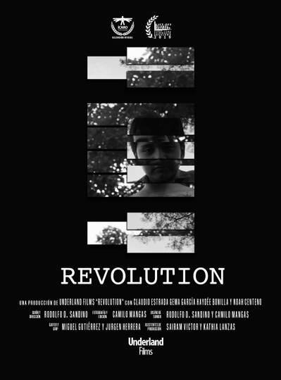 Revolution