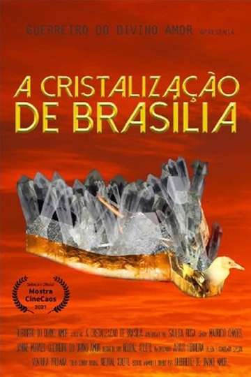 The Crystallization of Brasília Poster