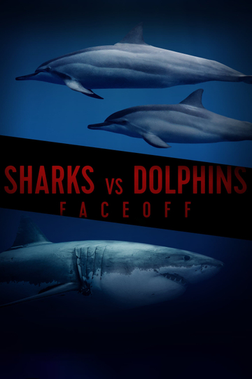 Sharks Vs Dolphins Face Off Poster