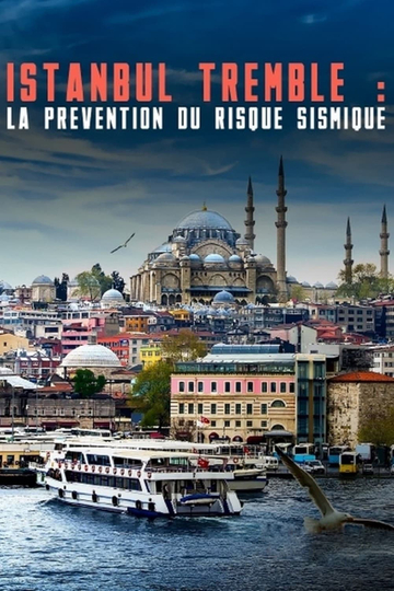 Istanbul tremble  La prévention du risque sismique