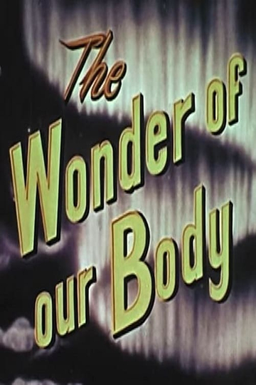 The Wonder Of Our Body