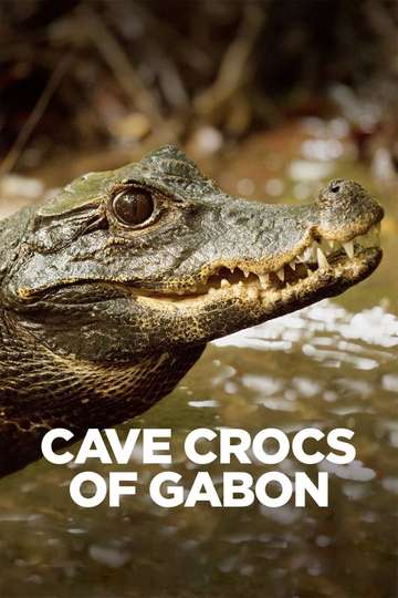 Cave Crocs of Gabon Poster