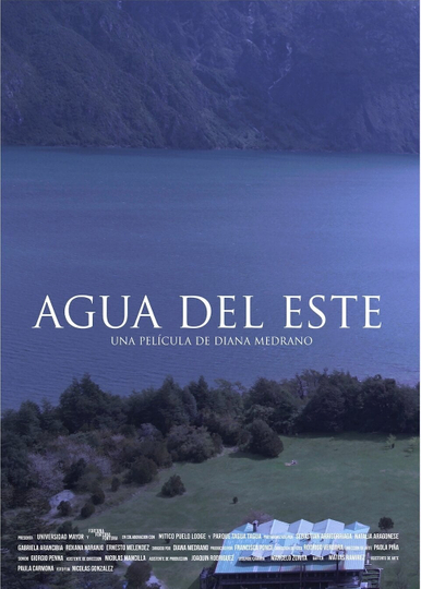 Agua del este Poster