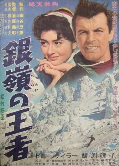 Storm on the Silvery Peaks Poster