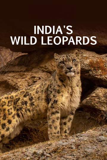India's Wild Leopards Poster