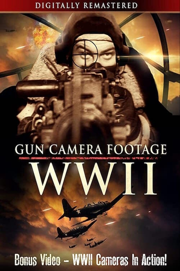 Gun Camera Footage WWII