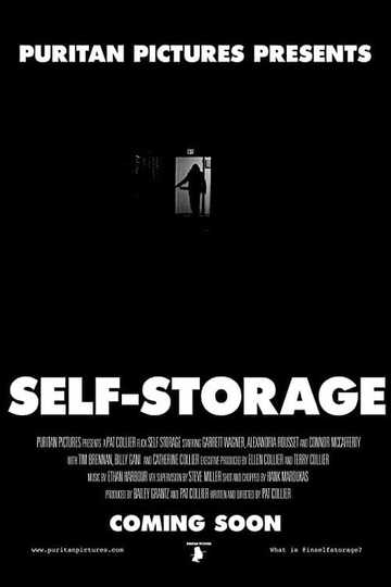 Self-Storage Poster